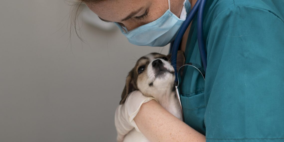 Campanha de vacinação antirrábica animal começa na próxima segunda (05) em Poços