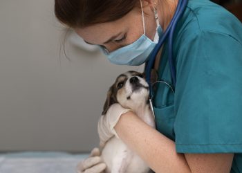 Campanha de vacinação antirrábica animal começa na próxima segunda (05) em Poços