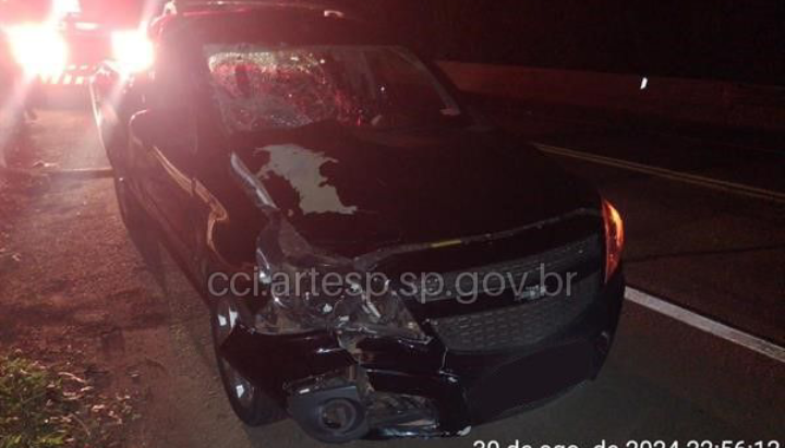 Homem morre após ser atropelado em rodovia em Vargem Grande do Sul