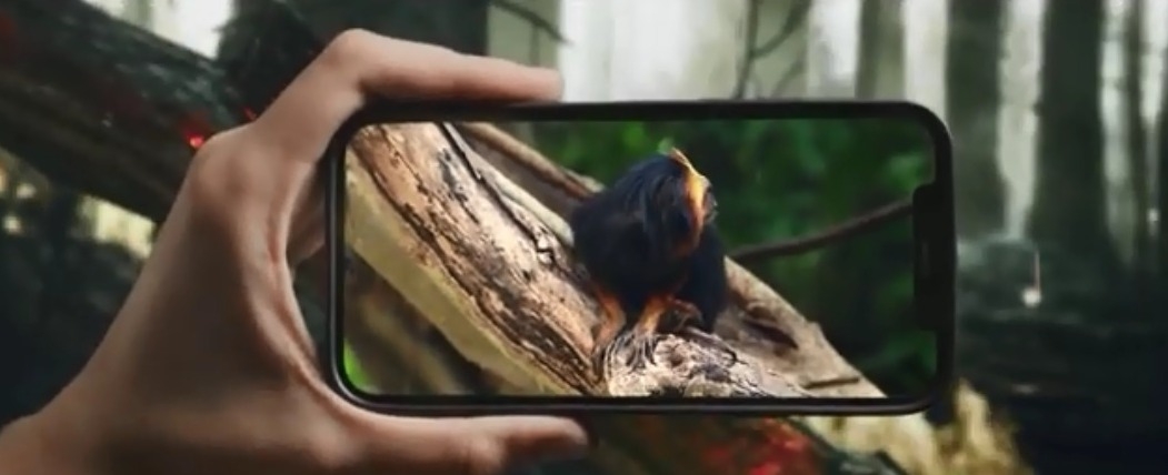 Corpo de Bombeiros lança campanha sobre incêndios em vegetação em Minas