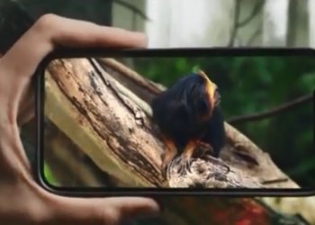 Corpo de Bombeiros lança campanha sobre incêndios em vegetação em Minas