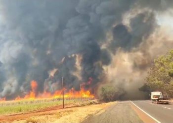 Incêndio: Chamas consomem plantação de cana-de-açúcar