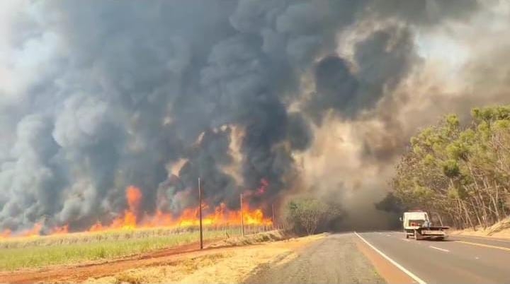 Incêndio: Chamas consomem plantação de cana-de-açúcar