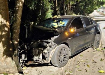 Carro colide em árvore em Poços de Caldas
