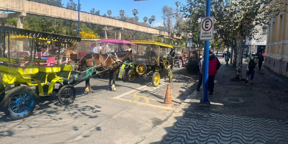 Prefeitura notifica charreteiros de Poços de Caldas