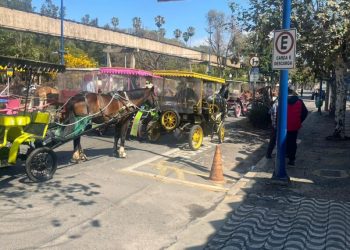 Prefeitura notifica charreteiros de Poços de Caldas