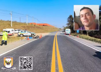 Motociclista morre após atingir mula que atravessava a MG-290