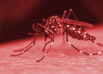 Poços de Caldas tem 1.226 casos de dengue