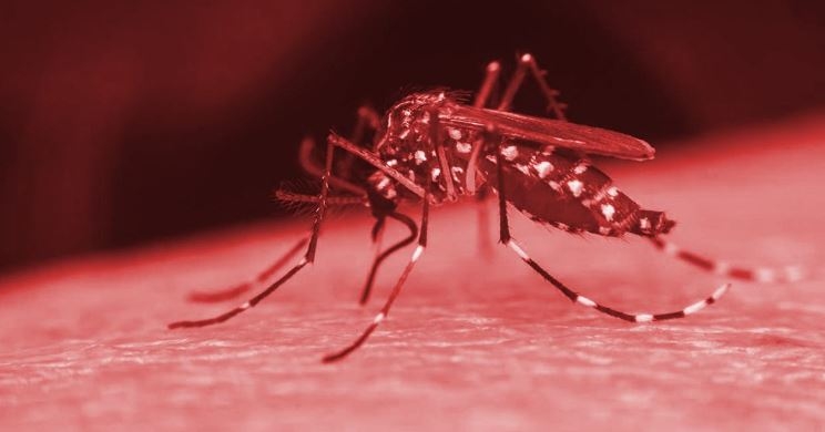 Poços de Caldas tem 1.226 casos de dengue