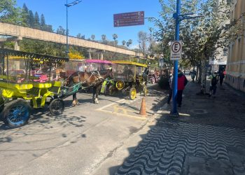 Charreteiros realizam protesto em frente à Prefeitura de Poços de Caldas