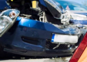 Concessionárias deverão indenizar motoristas por acidentes com animais domésticos na pista