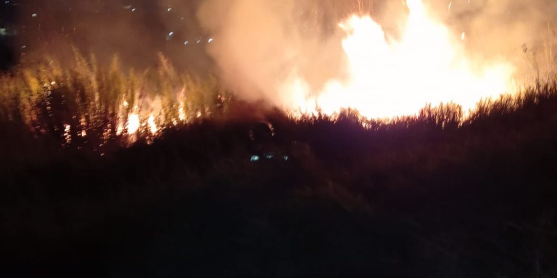 Incêndio consome 20 mil metros quadrados no Campo da Mogiana em Poços