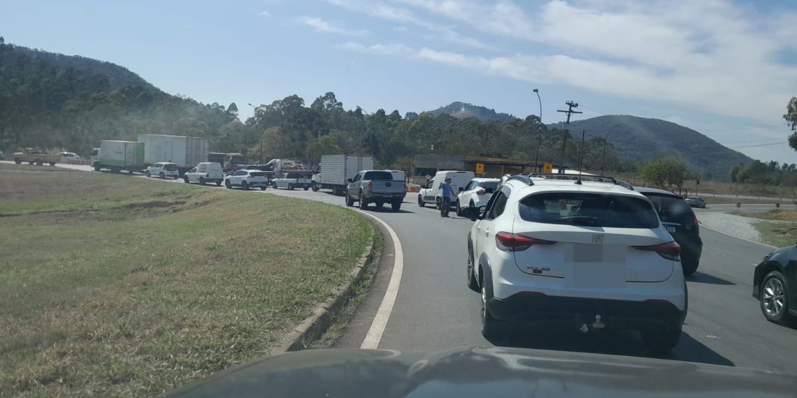 AGORA| Trânsito parado devido ao corte de eucaliptos com risco de queda em Poços de Caldas