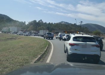 AGORA| Trânsito parado devido ao corte de eucaliptos com risco de queda em Poços de Caldas