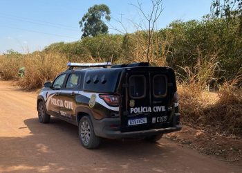 Polícia Civil acha caminhonete furtada no meio de um cafezal