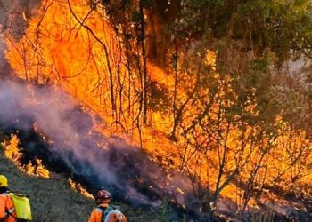 Queimadas mobilizam bombeiros há dias em cidades da região