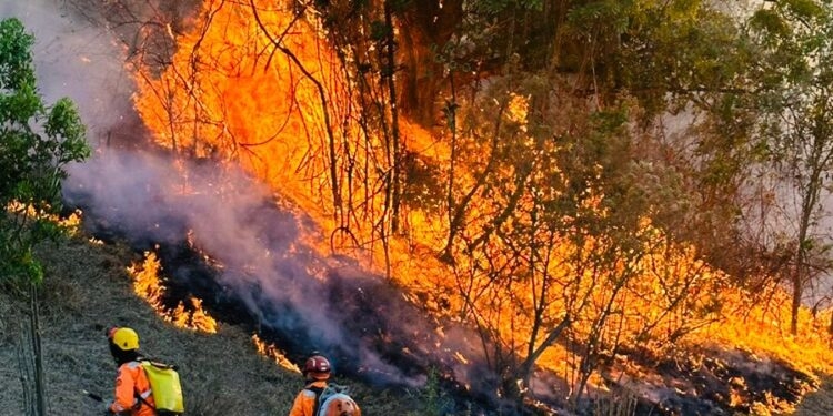 Queimadas mobilizam bombeiros há dias em cidades da região