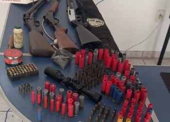 Ação conjunta da PM de Minas e São Paulo apreende armas de fogo e munições em Andradas