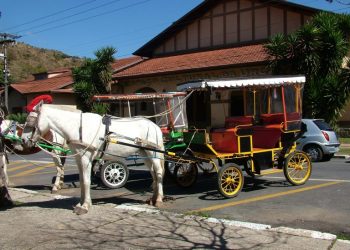 Mais um capítulo do embate entre prefeitura e charreteiros de Poços de Caldas