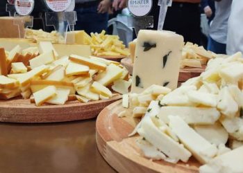 Produtores do Sul de Minas ganham concurso de melhor queijo da Emater-MG