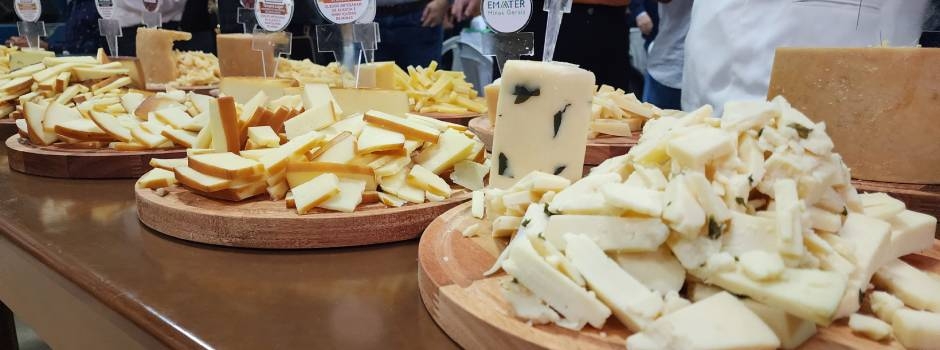 Produtores do Sul de Minas ganham concurso de melhor queijo da Emater-MG