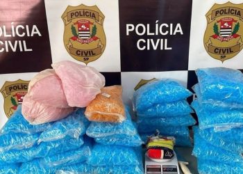 29 mil pinos e meio quilo de cocaína são apreendidos em Santa Cruz das Palmeiras