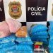 29 mil pinos e meio quilo de cocaína são apreendidos em Santa Cruz das Palmeiras