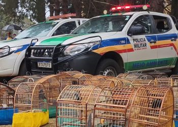 Homem é multado em mais de R$100 mil por criar aves silvestres em Poços