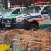 Homem é multado em mais de R$100 mil por criar aves silvestres em Poços
