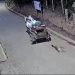 VÍDEO: Homem amarra cachorro em charrete e arrasta animal até a morte