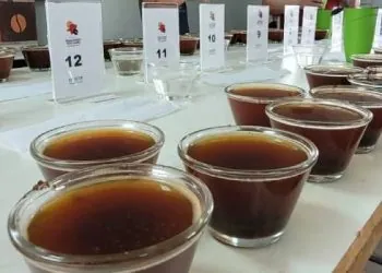 Cafeicultores de Poços de Caldas e Andradas foram classificados no Concurso de Qualidade dos Cafés