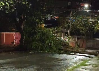 DMED divulga balanço de ocorrências provocadas pela chuva em Poços 