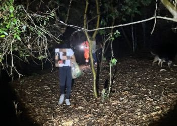 Bombeiros resgatam 4 adultos e uma criança perdidos em uma trilha