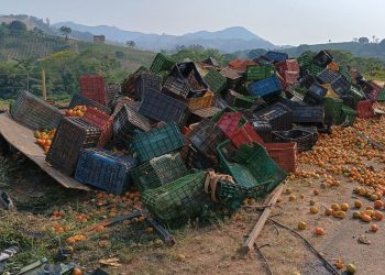 Caminhão carregado de laranjas tomba na Rodovia MG-455 em Andradas