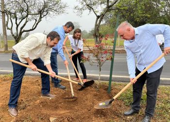 Alcoa realiza plantio de 80 mudas na Avenida Mansur Frayha em Poços