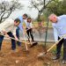 Alcoa realiza plantio de 80 mudas na Avenida Mansur Frayha em Poços