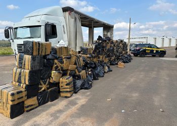 11 toneladas de maconha são apreendidas em Varginha