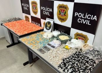 Drogas avaliadas em meio milhão de reais são apreendidas em Santa Cruz das Palmeiras