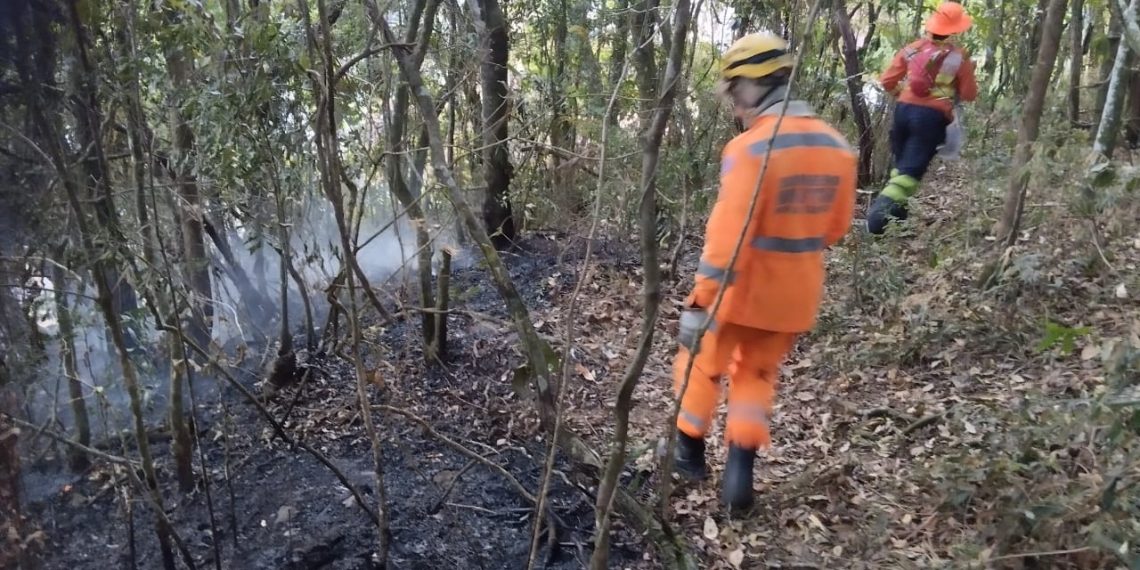 Bombeiros combatem foco de incêndio na Serra São Domingos em Poços de Caldas