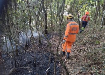 Bombeiros combatem foco de incêndio na Serra São Domingos em Poços de Caldas