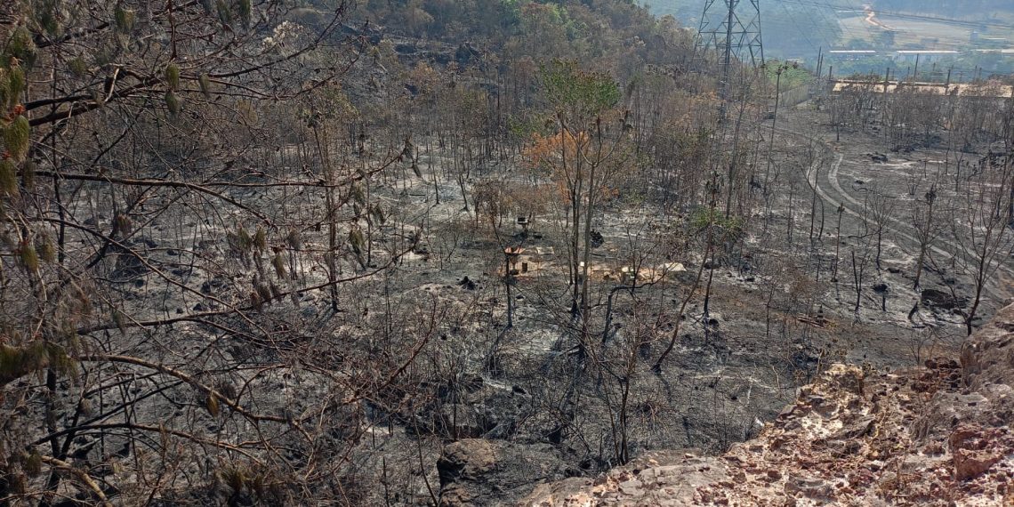 Incêndio é registrado na zona oeste de Poços de Caldas