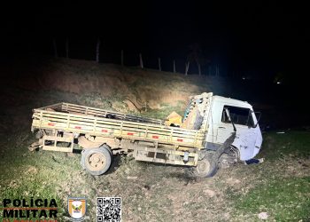 Caminhão sai da pista e cai em pasto após pneu estourar em Ibitiúra de Minas