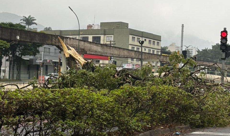 Tempestade causa danos na cidade de Poços de Caldas
