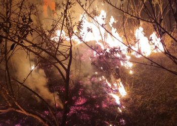 Bombeiros combatem incêndio na zona rural de Andradas