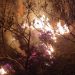 Bombeiros combatem incêndio na zona rural de Andradas