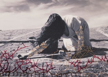 Águas da Prata recebe Exposição “Cicatrizes” a partir deste sábado