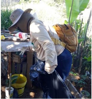 37 focos do mosquito Aedes Aegypti são identificados em imóveis em Poços