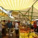 Feiras livres de Poços de Caldas tem vagas abertas para novos feirantes