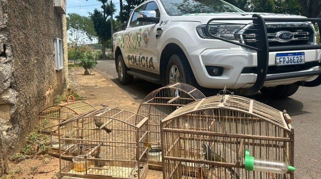 Homem é multado em mais de R$2 mil por criar animais silvestres em Pinhal