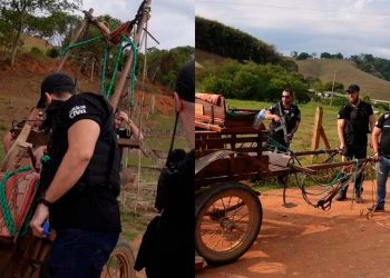 Polícia realiza buscas na casa de suspeito de arrastar cachorro em charrete no Sul de Minas